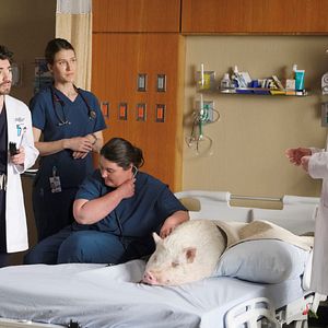 Fotoğraf Noah Galvin