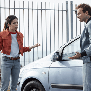 Fotoğraf Girasoles silvestres