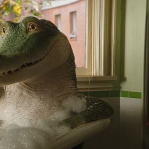 Fotoğraf Tim, Tim, Timsah