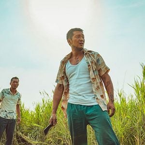 Fotoğraf Kuralsızlar