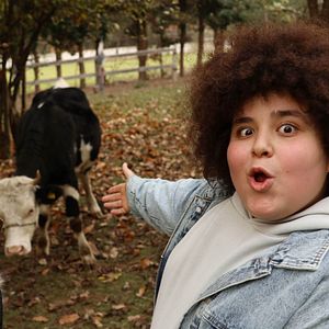 Fotoğraf Gömü’nün Maceraları