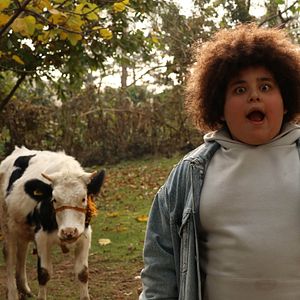 Fotoğraf Gömü’nün Maceraları