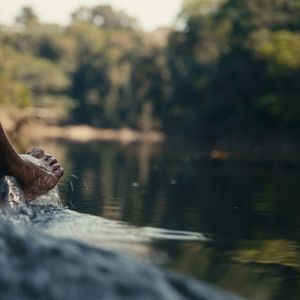 Fotoğraf The Territory