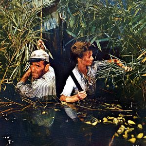 Fotoğraf Humphrey Bogart