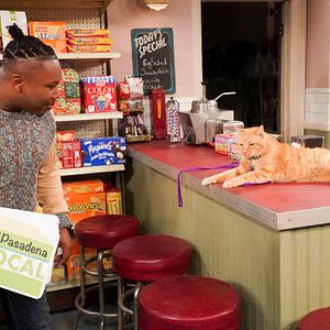 Fotoğraf Marcel Spears