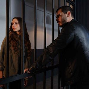 Fotoğraf Yalnız Kurt