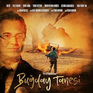 Fotoğraf Buğday Tanesi