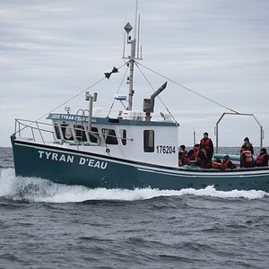 Fotoğraf Au revoir le bonheur