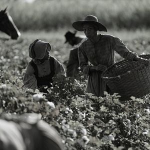Fotoğraf Charmaine Bingwa