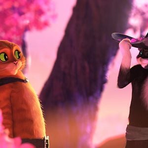 Fotoğraf Çizmeli Kedi: Son Dilek