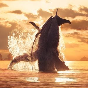 Fotoğraf Avatar: Suyun Yolu