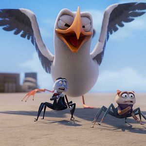 Fotoğraf Dedektif Sun ve Ekibi: Kurtarma Operasyonu