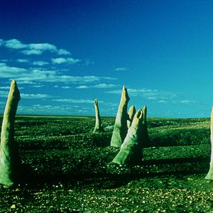 Fotoğraf Derin Karanlık