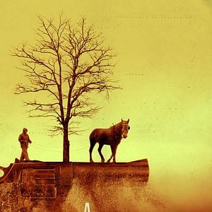 Fotoğraf A Small Fortune