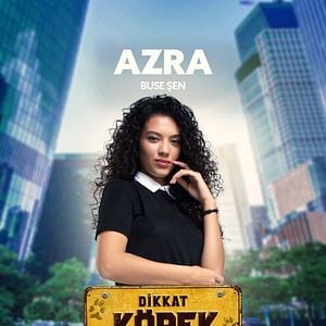 Fotoğraf Dikkat Köpek Var