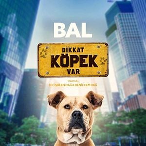 Fotoğraf Dikkat Köpek Var