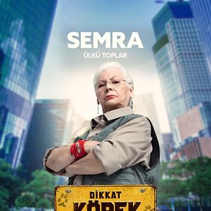 Fotoğraf Dikkat Köpek Var