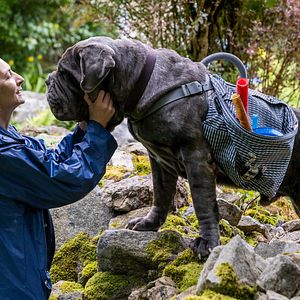 Fotoğraf Corinne Masiero