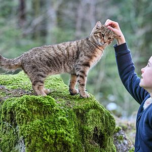 Fotoğraf Capucine Sainson-Fabresse