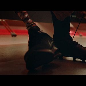 Fotoğraf Hayatla Barış