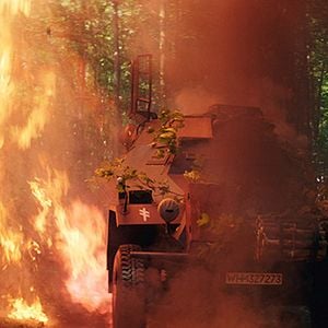 Fotoğraf Wolf Hound