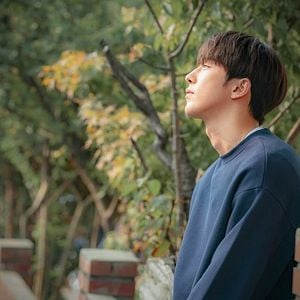 Fotoğraf The Light in Your Eyes