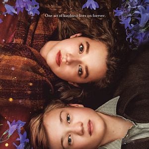 Fotoğraf White Bird