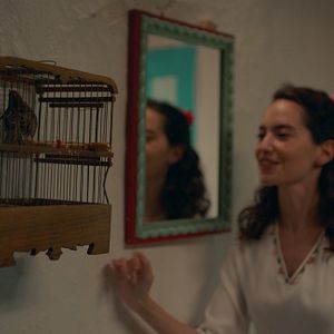 Fotoğraf Serçenin Gözyaşı