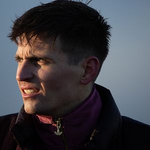 Fotoğraf Chien de la casse