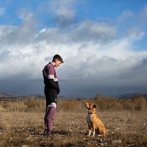 Fotoğraf Chien de la casse