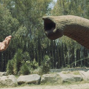 Fotoğraf Unutma Biçimleri