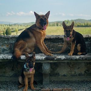 Fotoğraf Gunther'ın Serveti