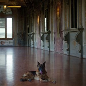 Fotoğraf Gunther'ın Serveti