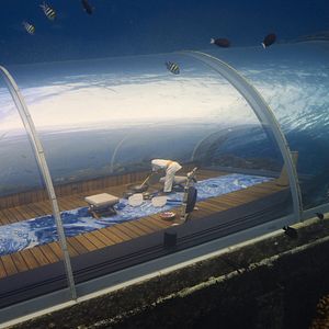 Fotoğraf Eugene Levy