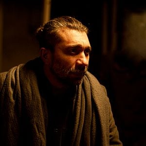 Fotoğraf Sarmaşık Zamanı