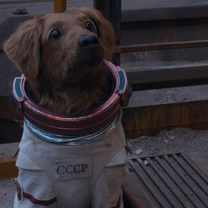 Fotoğraf Galaksinin Koruyucuları 3