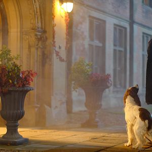 Fotoğraf Sonsuz Sır