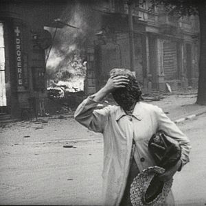 Fotoğraf The Natural History of Destruction