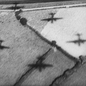 Fotoğraf The Natural History of Destruction