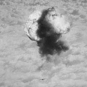 Fotoğraf The Natural History of Destruction