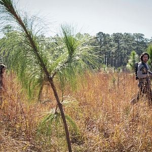 Fotoğraf Ariana Greenblatt