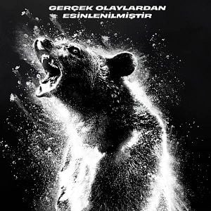 Fotoğraf Çıldırmış Ayı