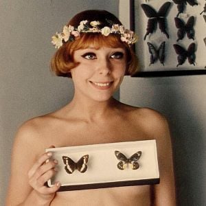 Fotoğraf Papatyalar