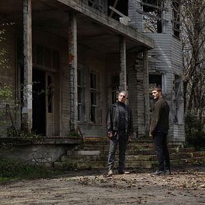 Fotoğraf Ateş Kuşları