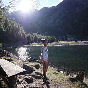 Fotoğraf Lassie: Yepyeni Bir Macera