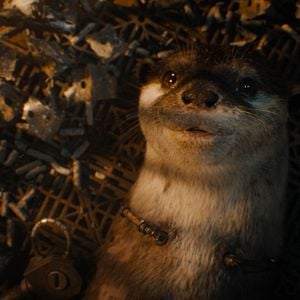 Fotoğraf Galaksinin Koruyucuları 3