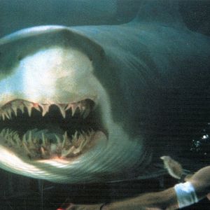 Fotoğraf Mavi Korku