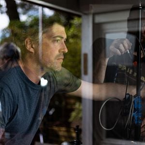 Fotoğraf Hayvan Krallığı