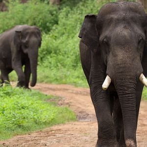 Fotoğraf Gezegenimiz