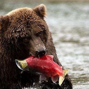 Fotoğraf Gezegenimiz